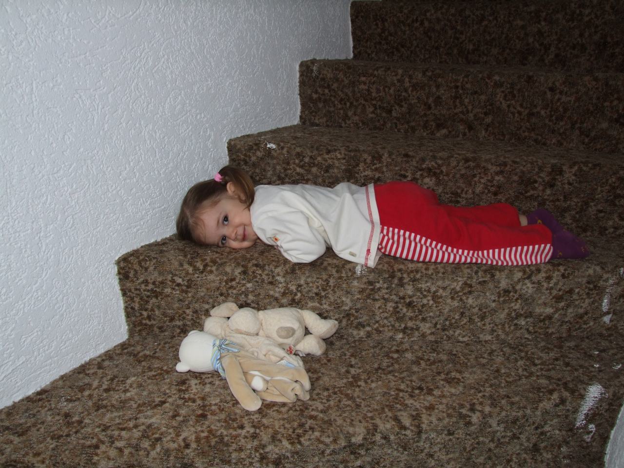 Tessa schläft auf der Treppe